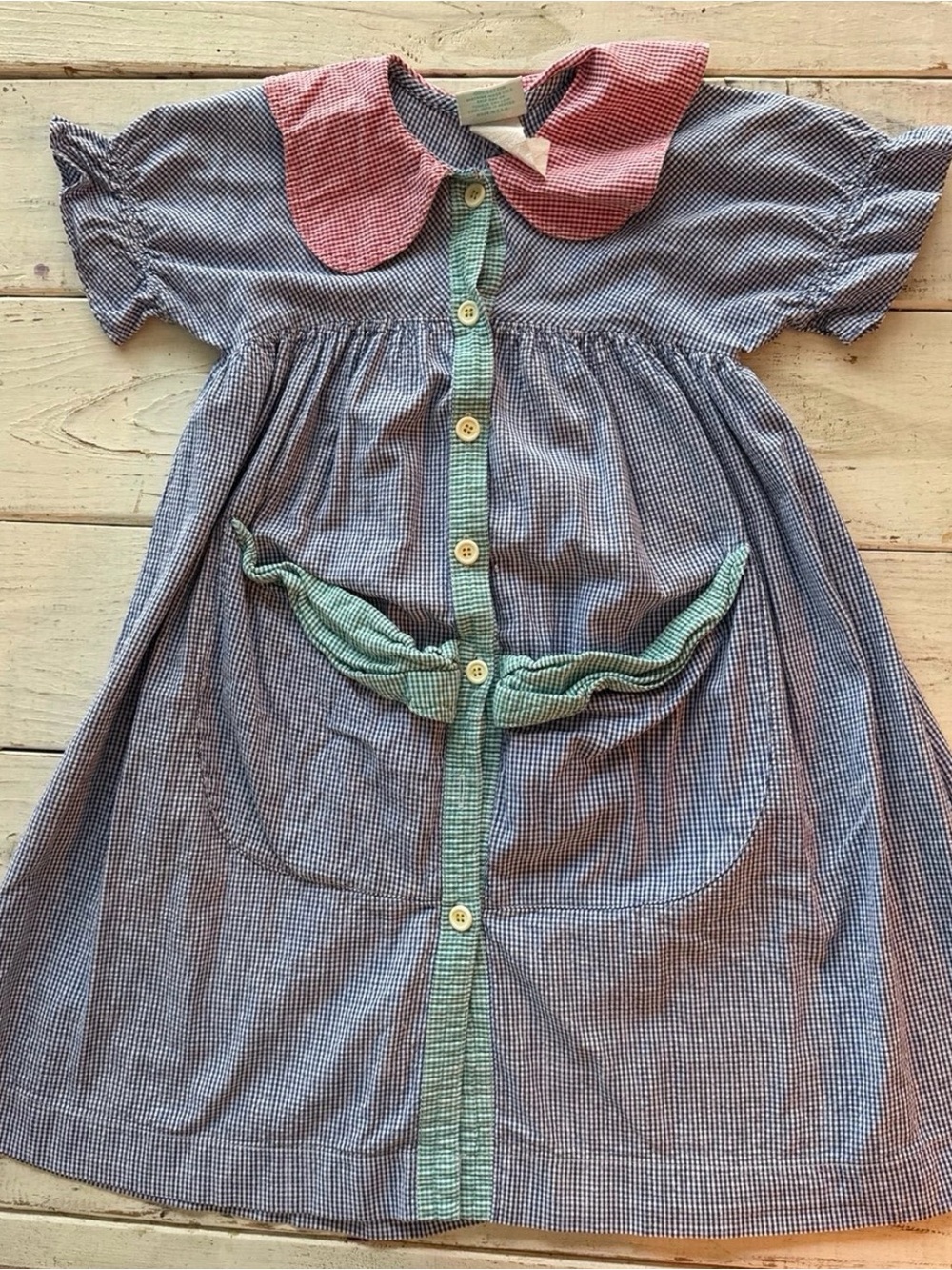 Vintage Gingham Peter Pan Collar Pocket Dress